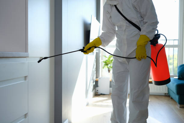 Best Home Mold Removal  in Warminster Heights, PA